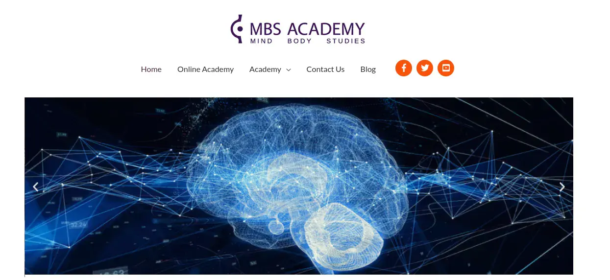 MBS Academy project artwork